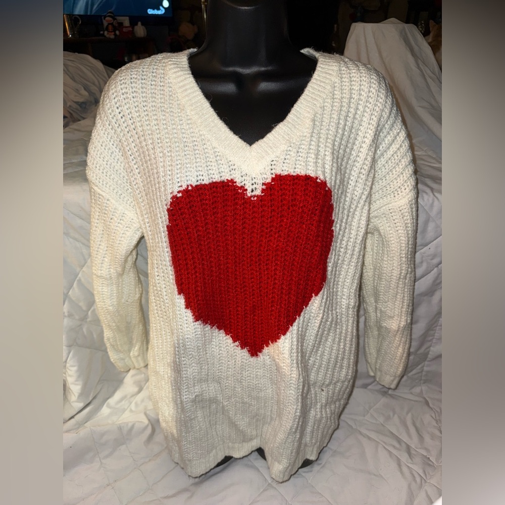 Torrid Chunky Pullover Tunic Sweater